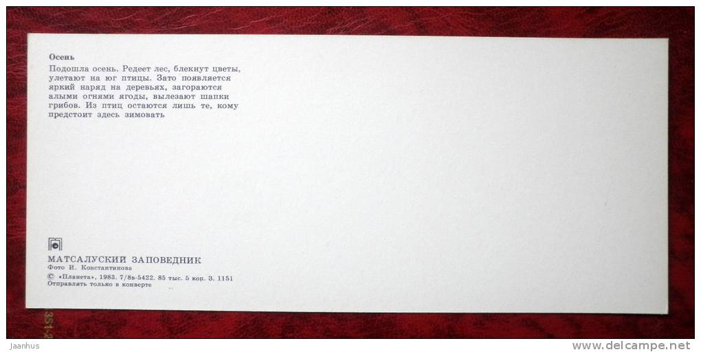 Matsalu National Park - autumn - mushroom - birds - 1983 - Estonia - USSR - unused - JH Postcards
