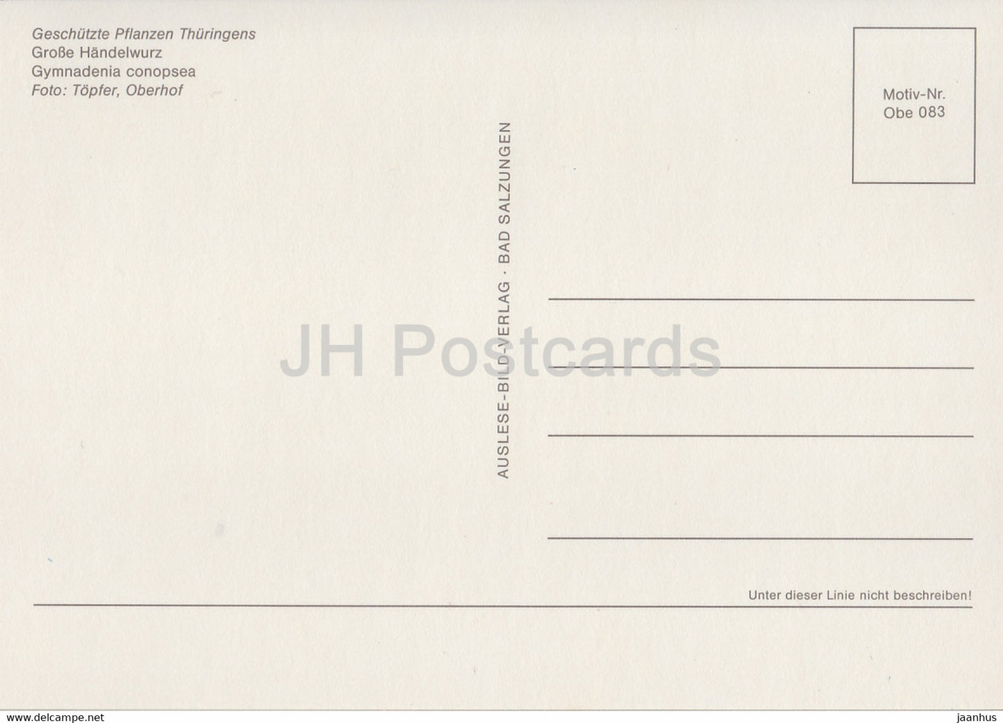 Fragrant orchid - Gymnadenia conopsea - Geschutzte Pflanzen - Protected plants - DDR Germany - unused