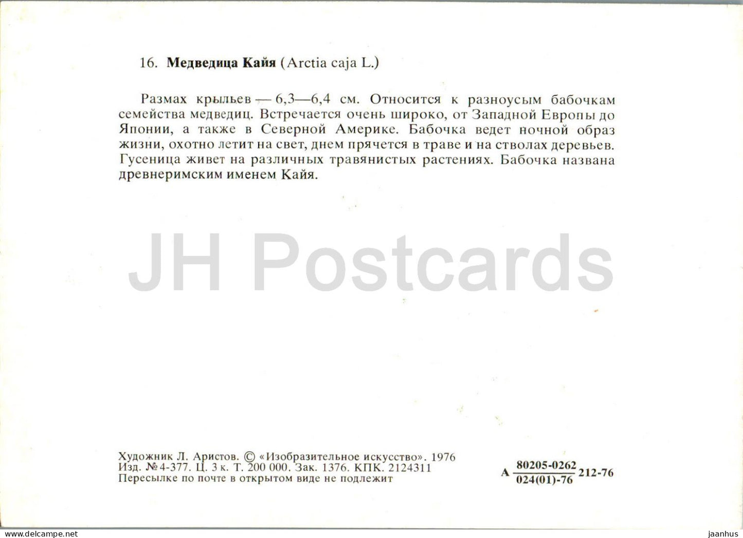 Papillon de tigre de jardin - Arctia caja - papillon - papillons - 1976 - Russie URSS - inutilisé