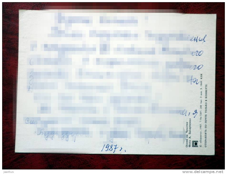 Fall in Chukotka - forest - trees - 1985 - Russia - USSR - used - JH Postcards