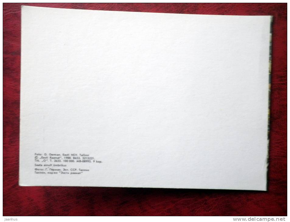 Tallinn - Old Town - Estonia - USSR - 1988 - unused - JH Postcards