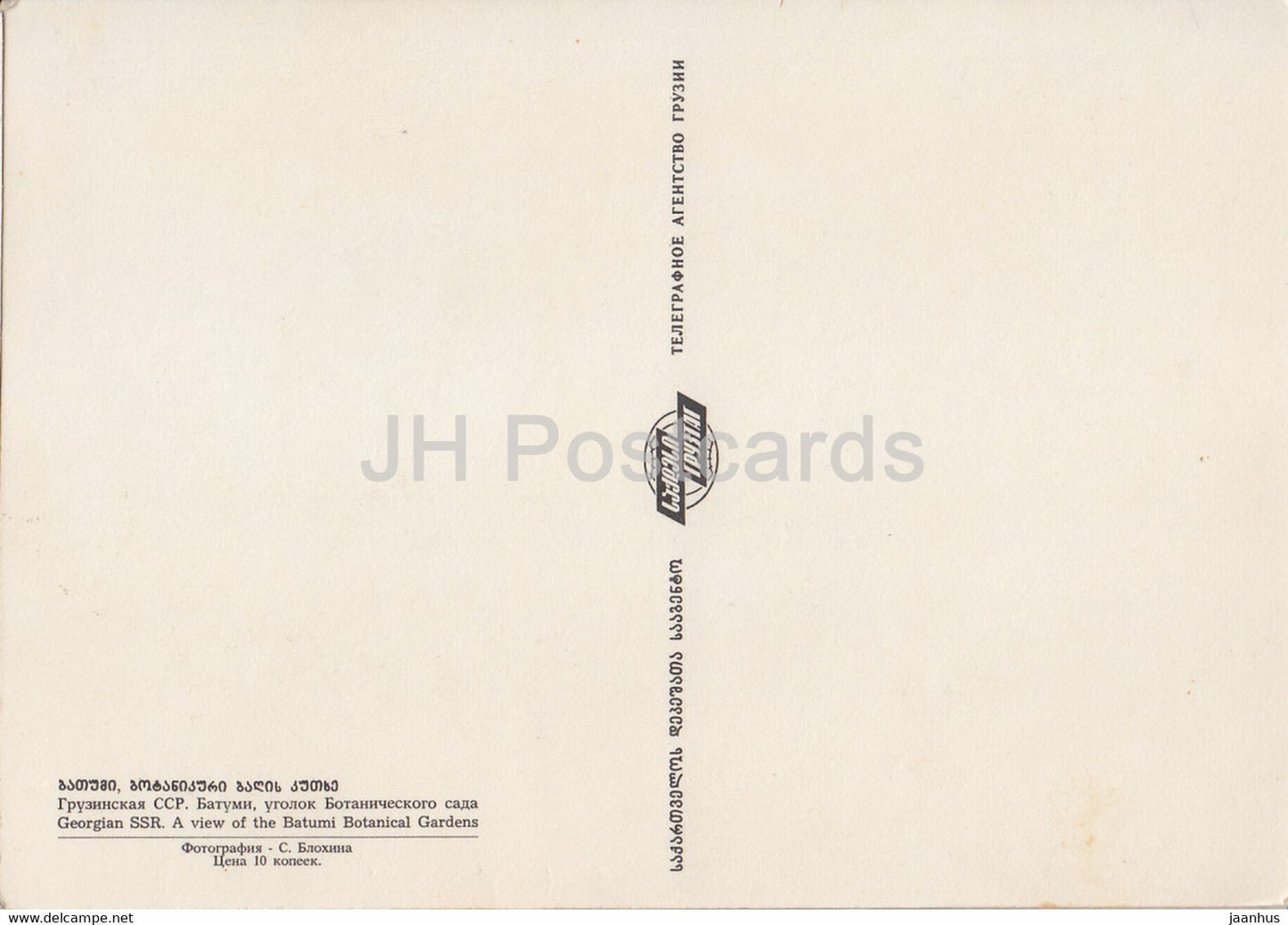 Ein Blick auf den Botanischen Garten von Batumi – Adscharien – Georgien, UdSSR – unbenutzt