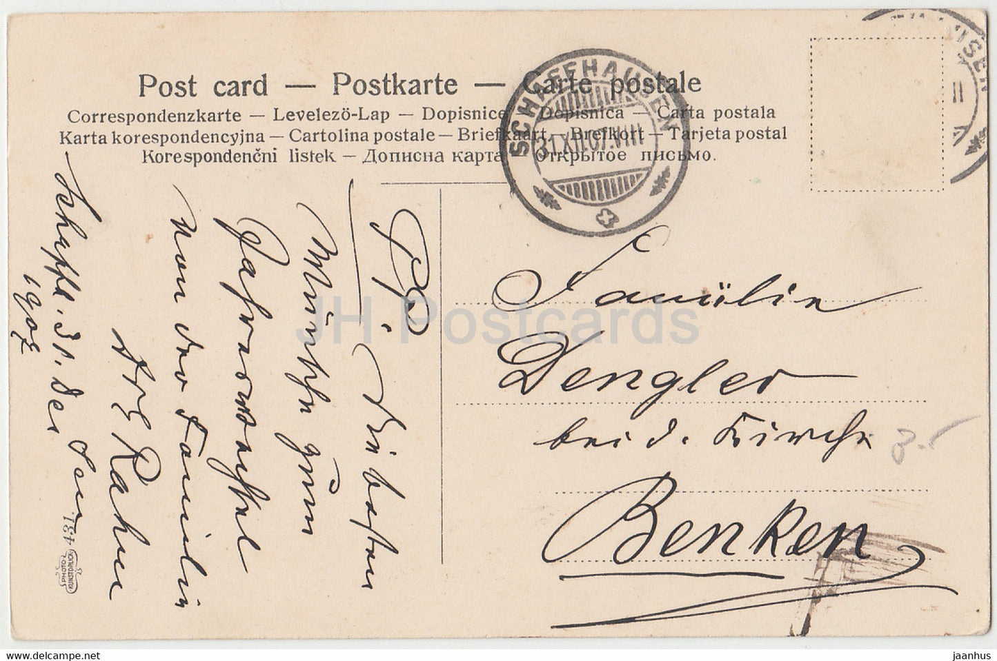 plants - flowers - Photo Kunstdruck 431 - old postcard - 1907 - used