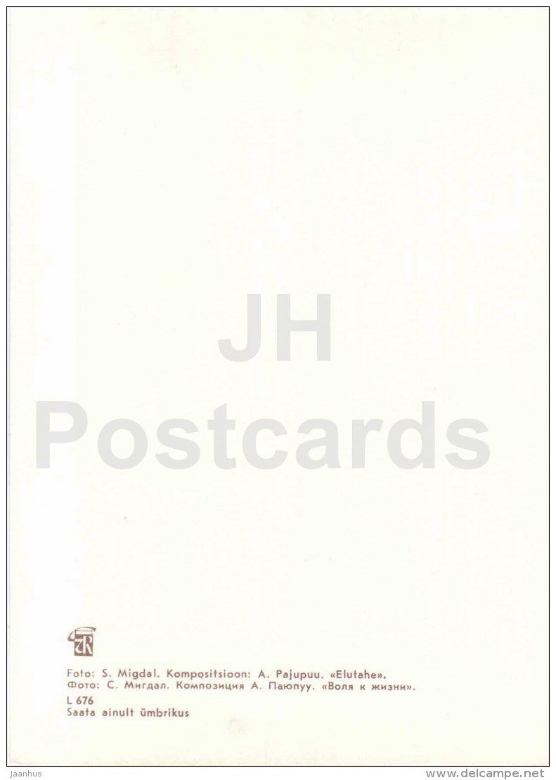 composition Will to live - branches - candle - ikebana - 1979 - Estonia USSR - unused - JH Postcards