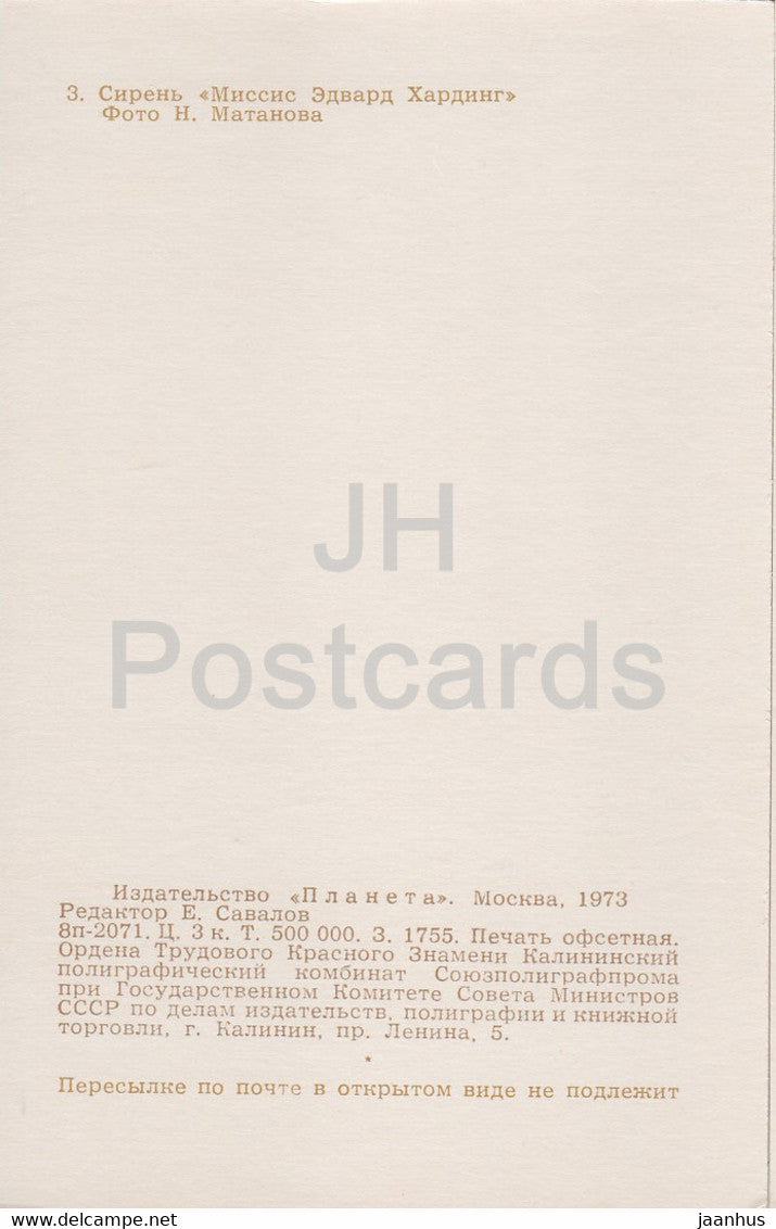 Missis Edward Harding - Lilac - Flowers - 1973 - Russia USSR - unused