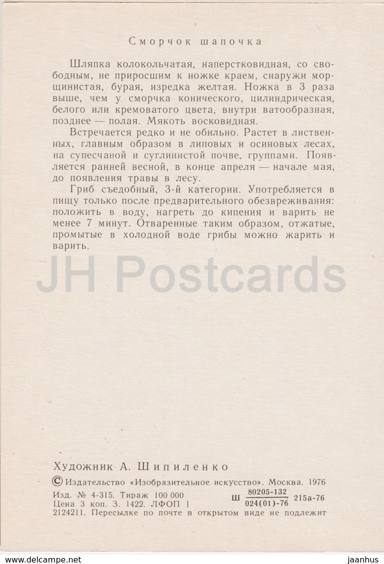 Early morel Mushroom - Verpa bohemica - illustration by A. Shipilenko - Mushrooms - 1976 - Russia USSR - unused - JH Postcards