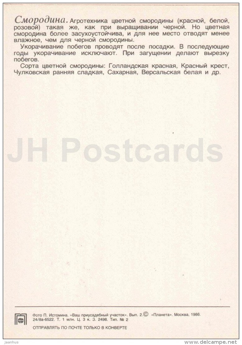 currant - fruit and berry crops - garden - 1986 - Russia USSR - unused - JH Postcards