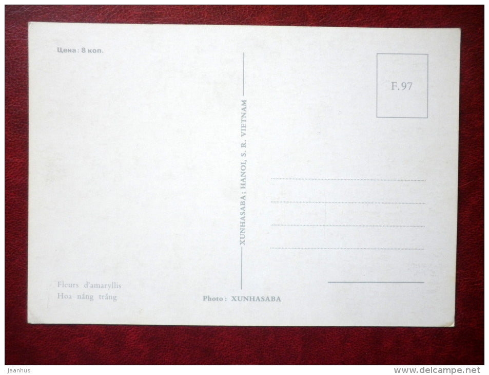 Amaryllis - flowers - Vietnam - unused - JH Postcards