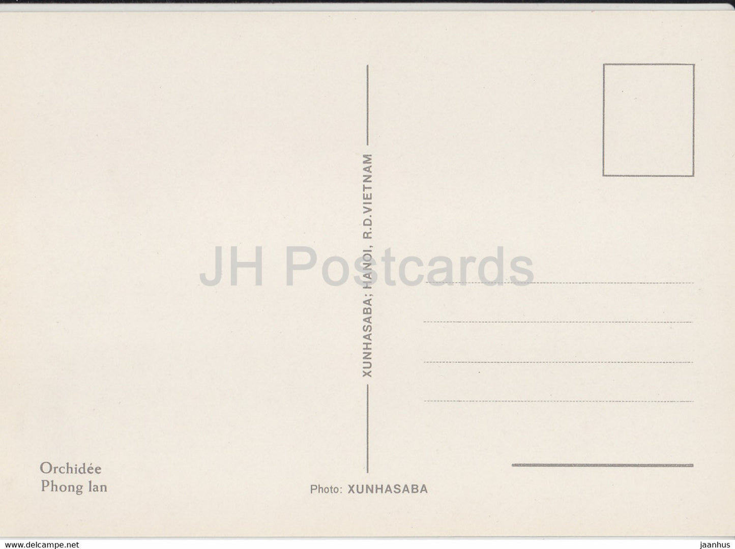 Orchid - Phong Lan - rose - flowers - Vietnam - unused