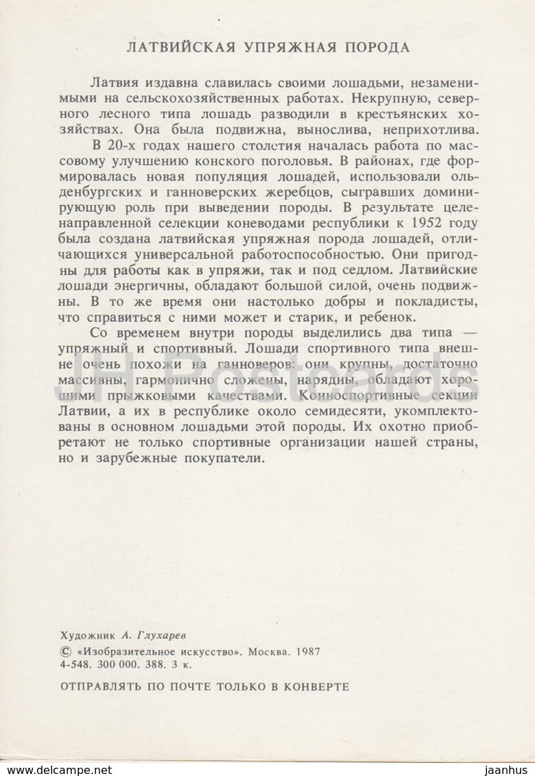 Latvian horse - illustration by A. Glukharev - horses - animals - 1988 - Russia USSR - unused - JH Postcards