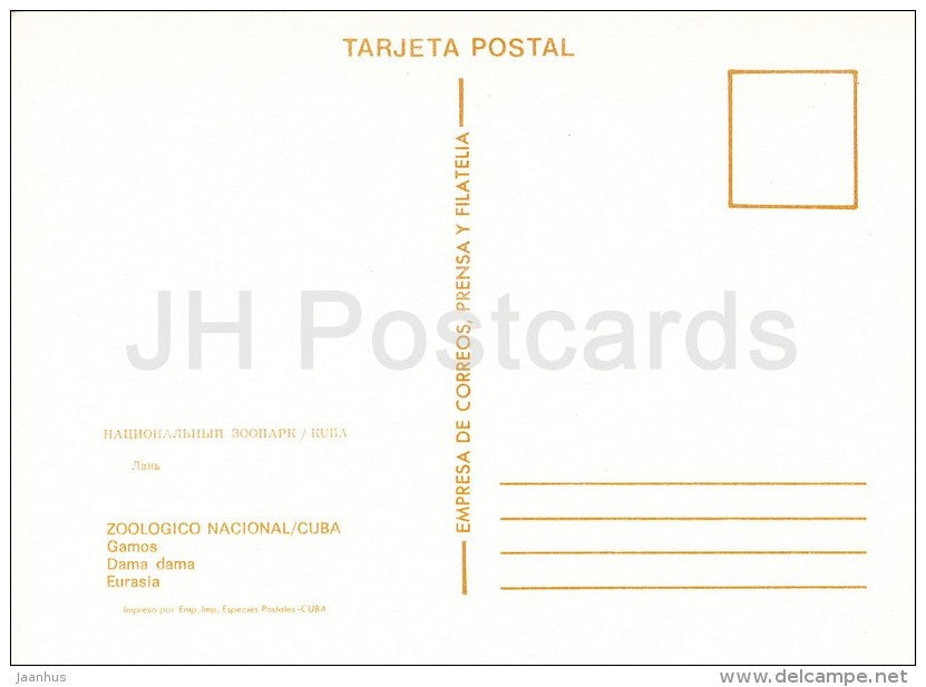 Fallow deer - Dama dama - National Zoo - Cuba - unused - JH Postcards