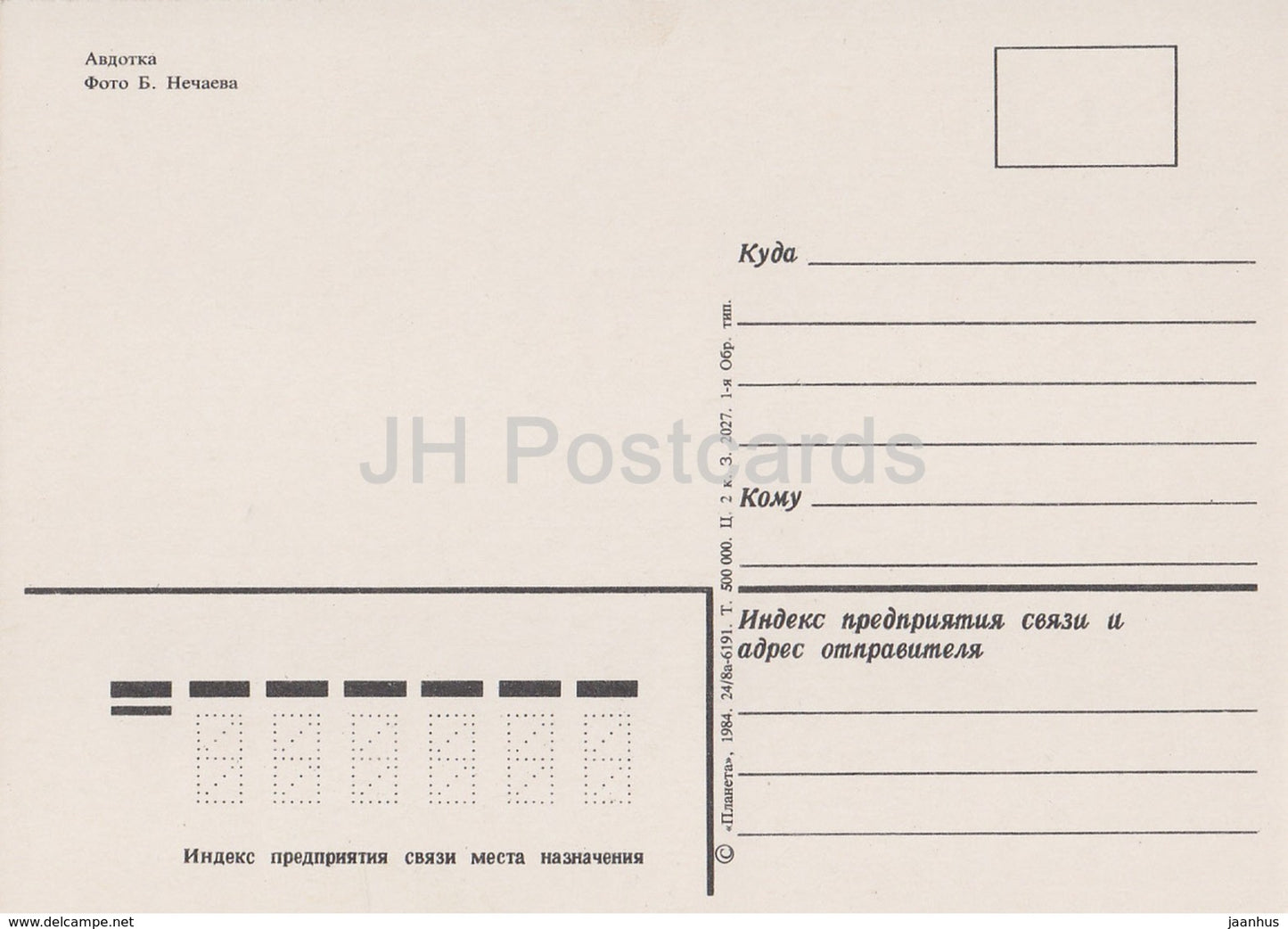 Eurasischer Brachvogel - Burhinus oedicnemus - Vögel - 1 - 1984 - Russland UdSSR - unbenutzt