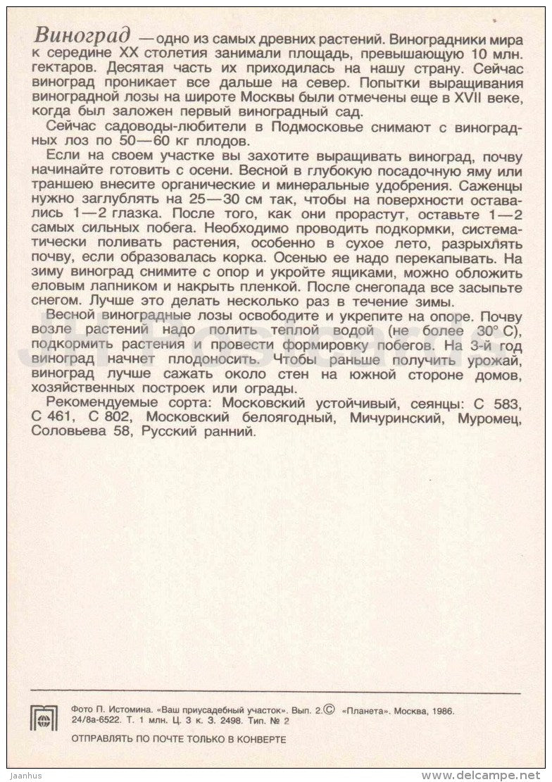 grape - fruit and berry crops - garden - 1986 - Russia USSR - unused - JH Postcards