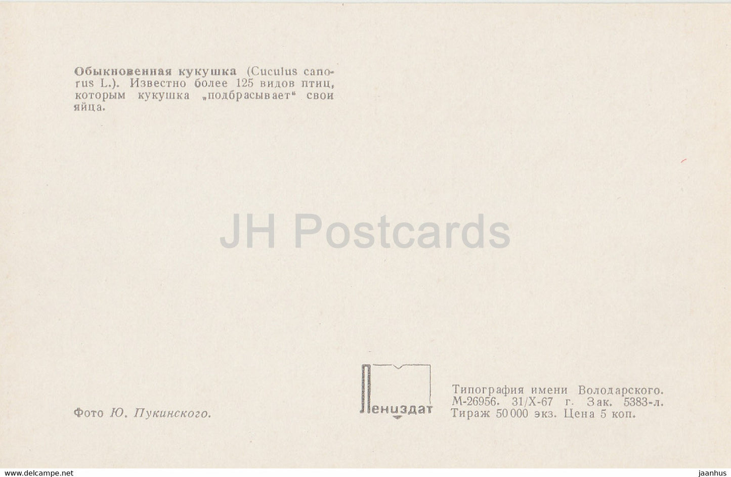 Coucou commun - Cuculus canorus - oiseaux - 1968 - Russie URSS - inutilisé