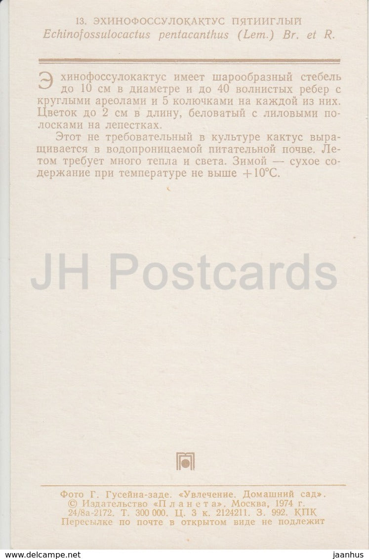 Echinofossulocactus pentacanthus - cactus - flowers - 1974 - Russia USSR - unused