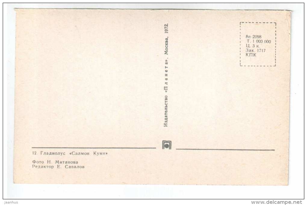 Salmon Queen - gladiolus - flowers - 1972 - Russia USSR - unused - JH Postcards