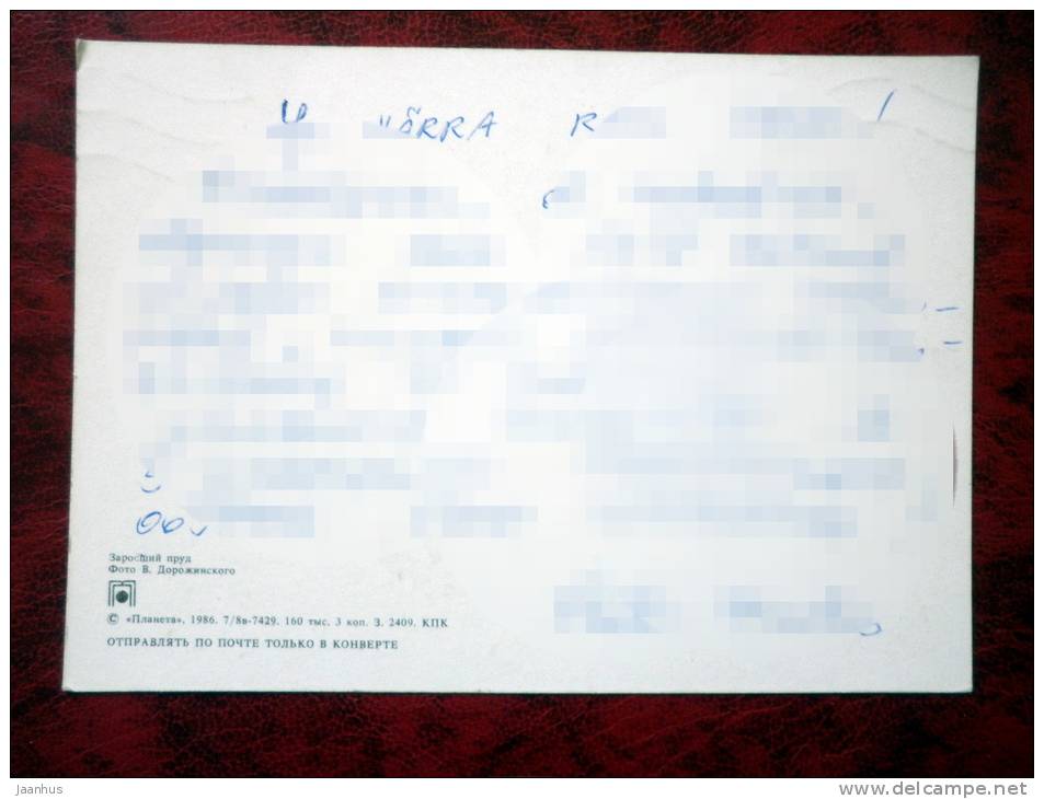 Nature - overgrown pond - 1986 - Russia - USSR - used - JH Postcards