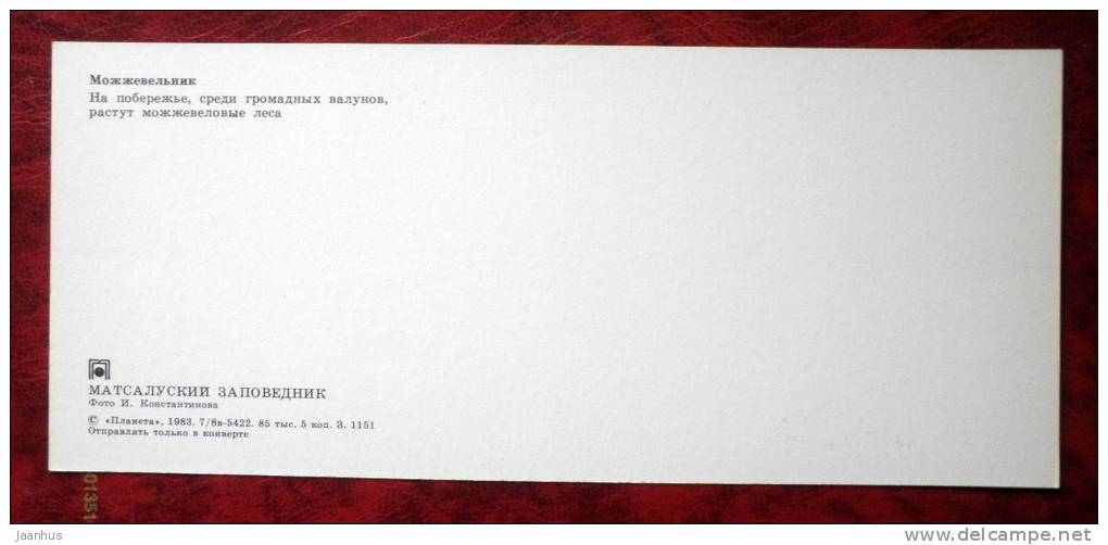 Matsalu National Park - juniper - plants - 1983 - Estonia - USSR - unused - JH Postcards