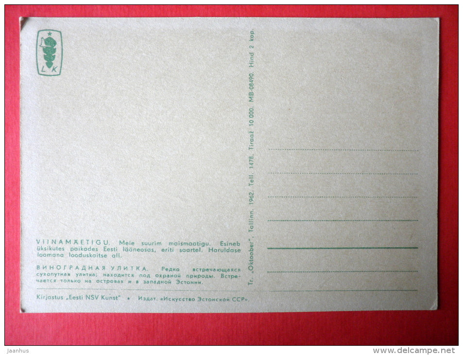 illustration by V. Pirk - Burgundy snail - Helix pomatia - 1962 - Estonia USSR - unused - JH Postcards