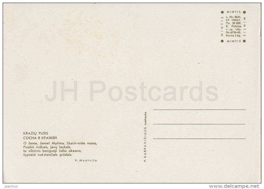 Pine tree in Kraziu - old postcard - Lithuania USSR - unused - JH Postcards