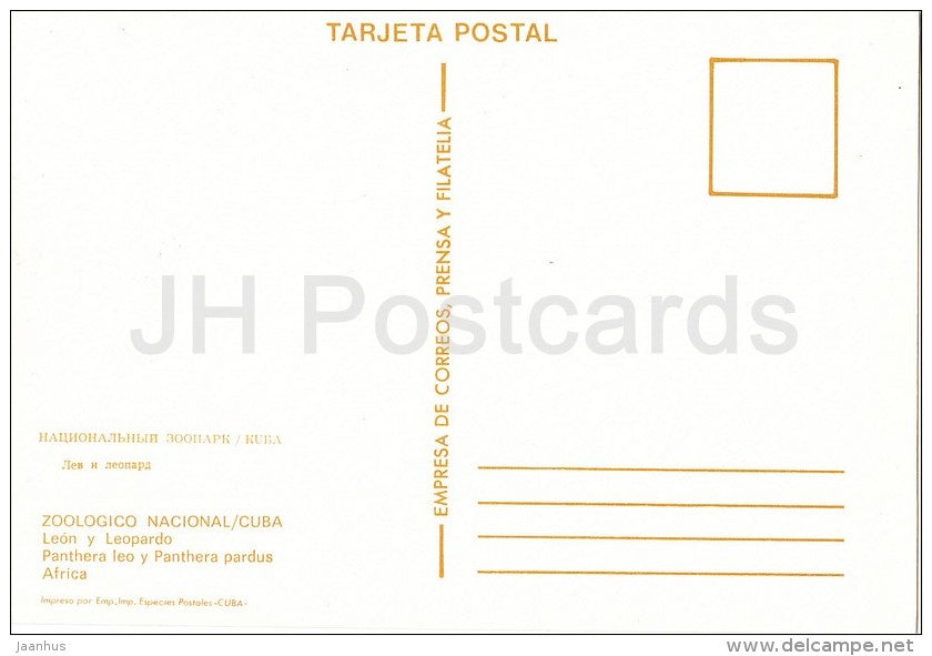 Lion and Leopard - National Zoo - Cuba - unused - JH Postcards