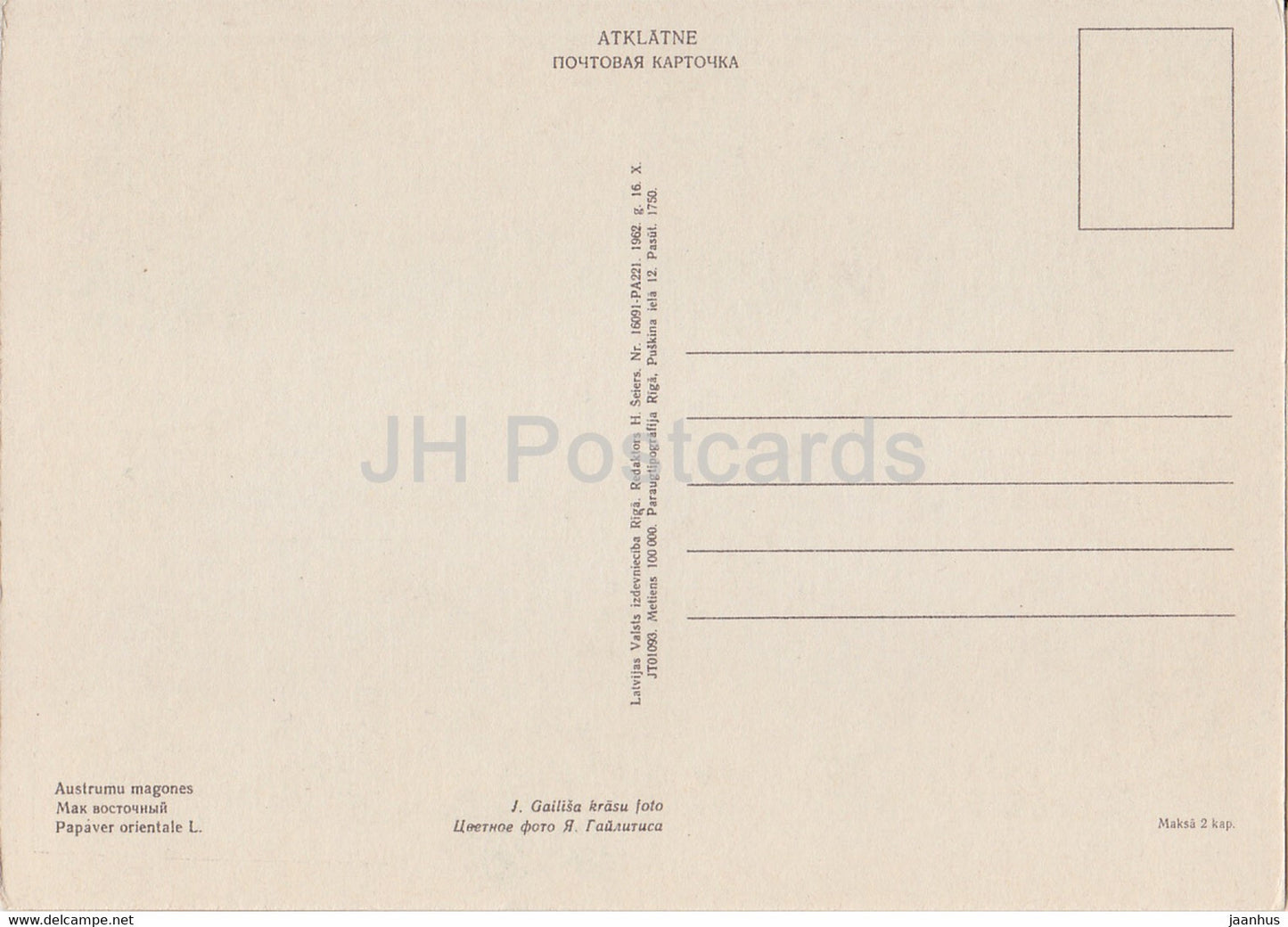 Oriental poppy - Papaver orientale - flowers - plants - 1962 - Latvia USSR - unused