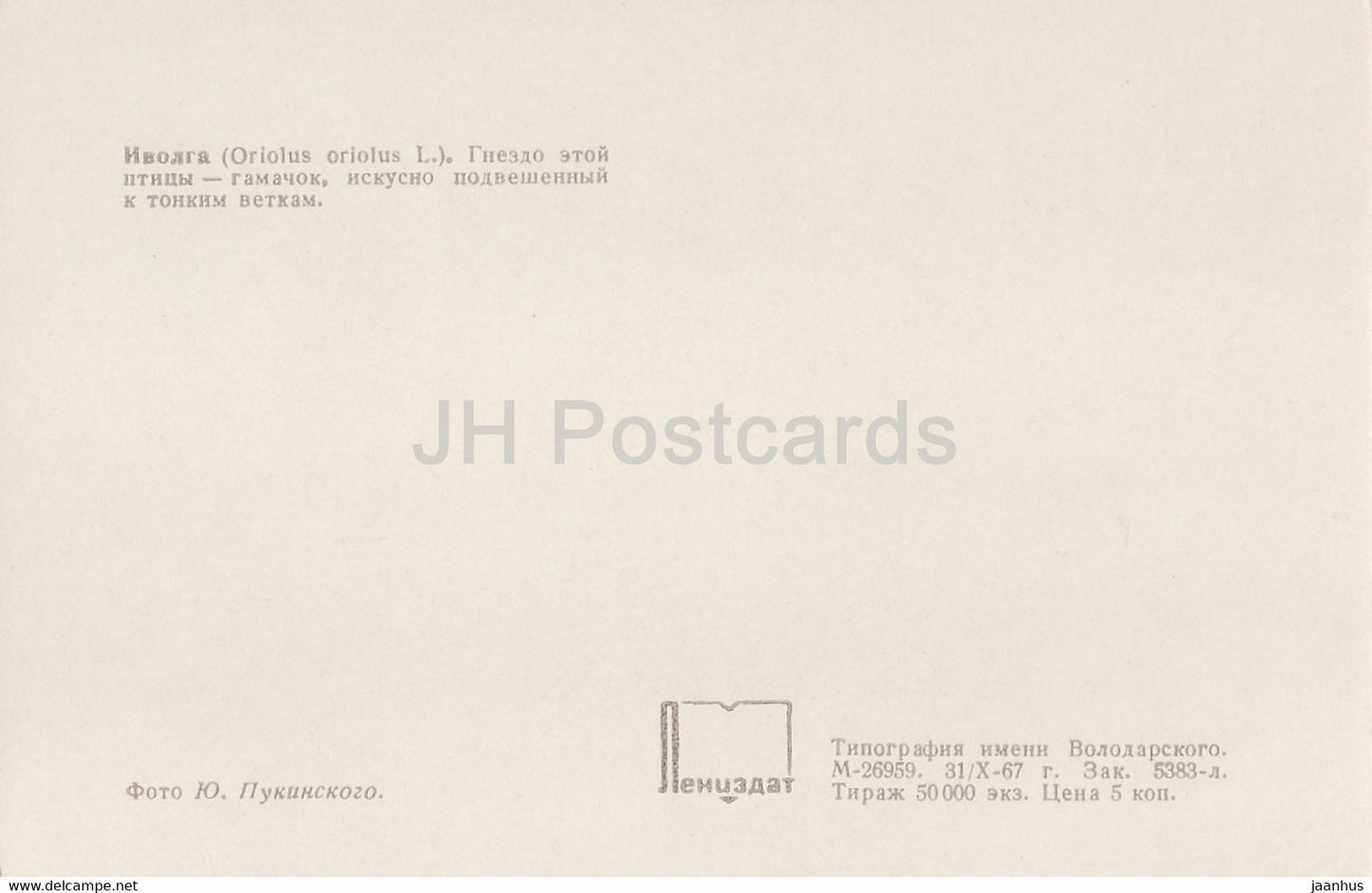 Eurasischer Pirol - Oriolus oriolus - Vögel - 1968 - Russland UdSSR - unbenutzt