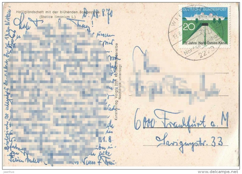 Halliglandschaft mit der blühenden Bondestave (Statice limonium) - Germany - 1970 gelaufen - JH Postcards