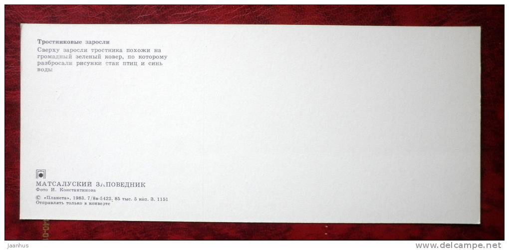 Matsalu National Park - reed - plants - 1983 - Estonia - USSR - unused - JH Postcards