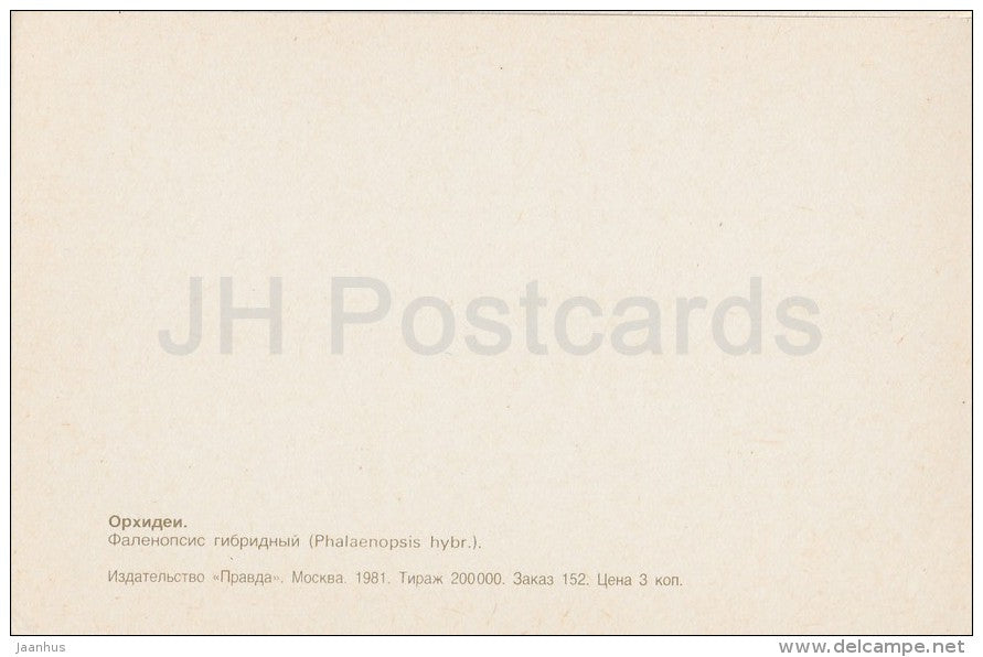 Phalaenopsis hybrid - flowers - Orchid - Russia USSR - 1981 - unused - JH Postcards