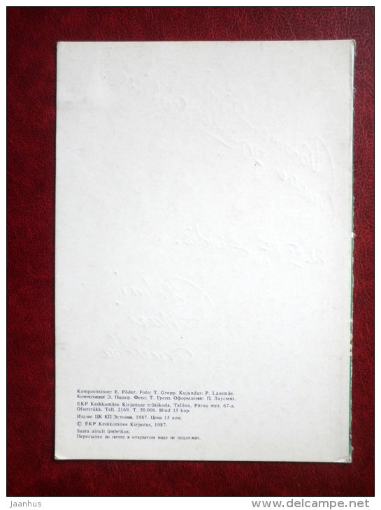 Greeting card - red carnation - flowers - 1987 - Estonia USSR - used - JH Postcards