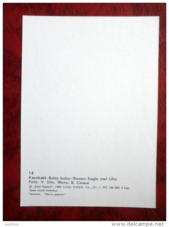 Eurasian Eagle-Owl - bubo bubo - birds - Tallinn Zoo - 1989 - Estonia - USSR - unused - JH Postcards