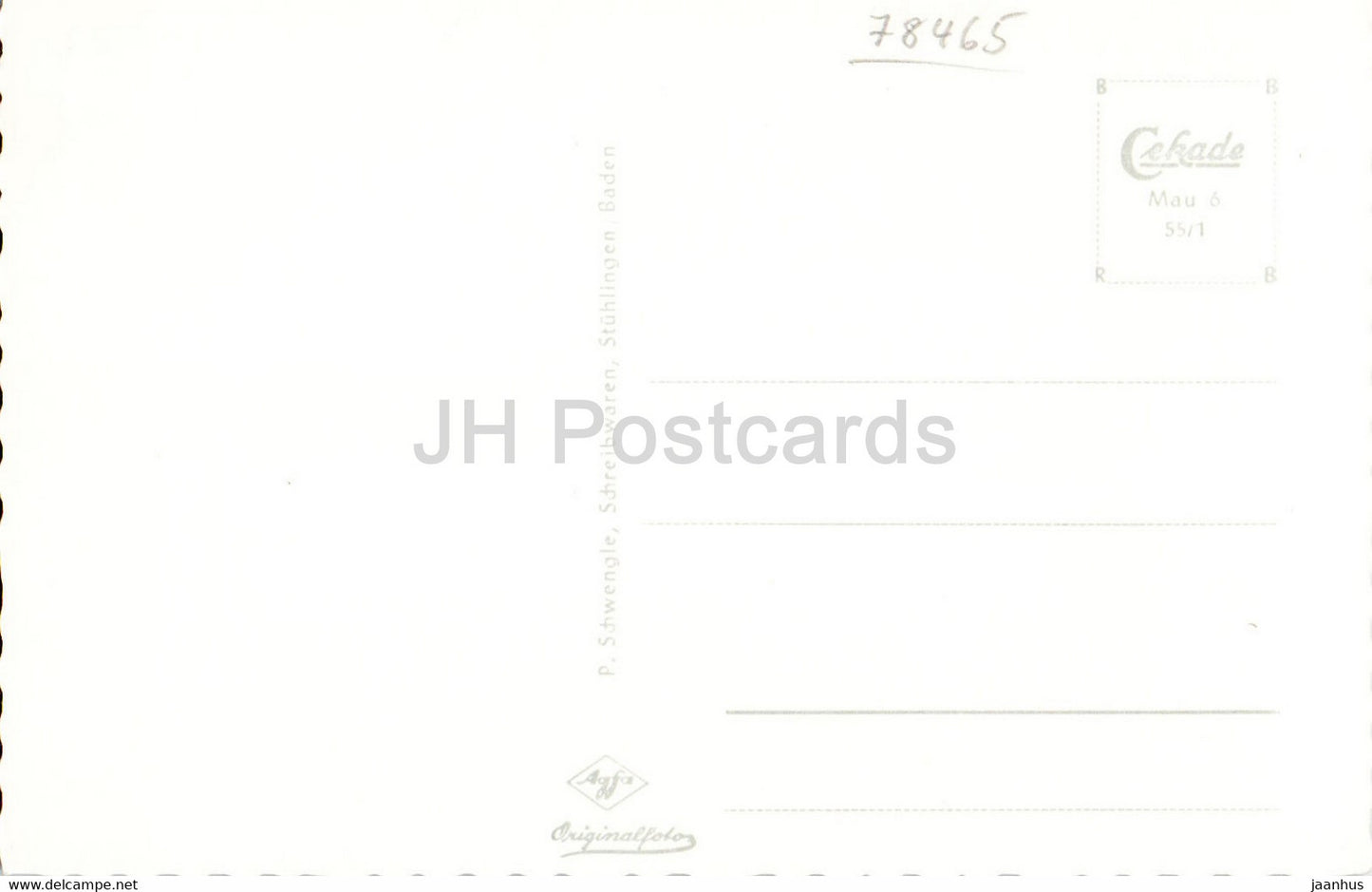 Insel Mainau im Bodensee mit Schweizer Alpen - alte Postkarte - Deutschland - unbenutzt