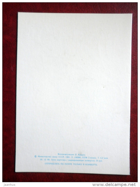 New Year Greeting Card - candles - decorations - butterfly - 1991 - Russia USSR - used - JH Postcards