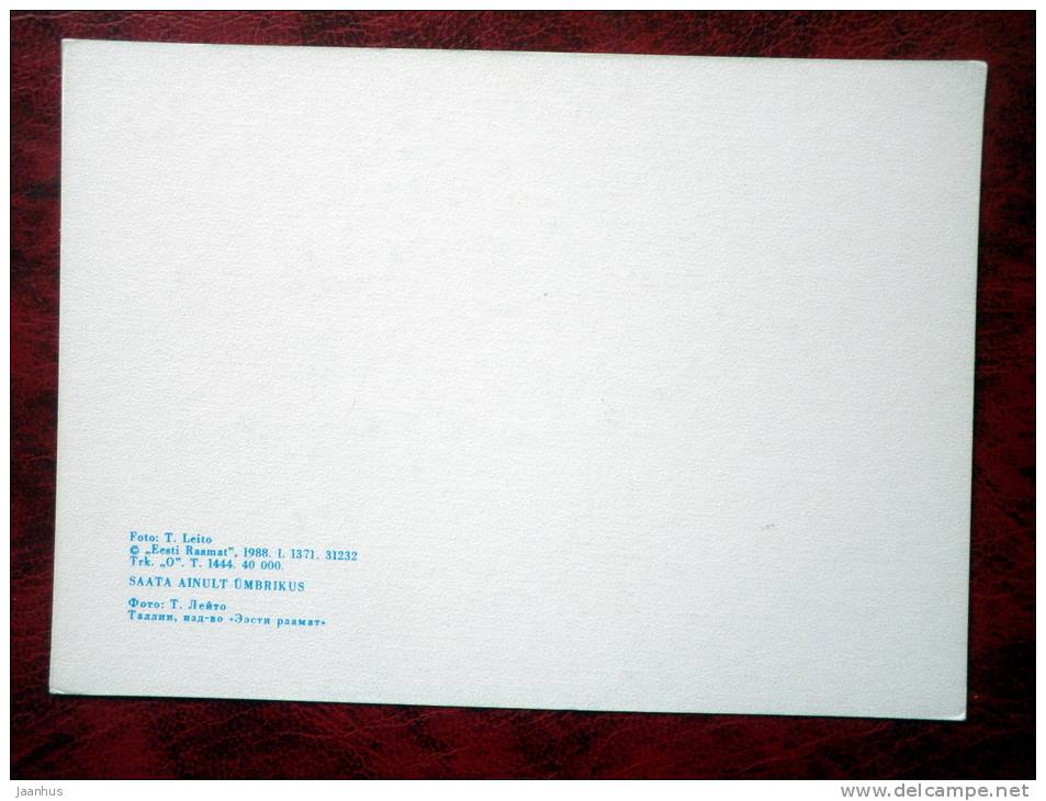 Sea - winter - 1988 - Estonia - USSR - unused - JH Postcards