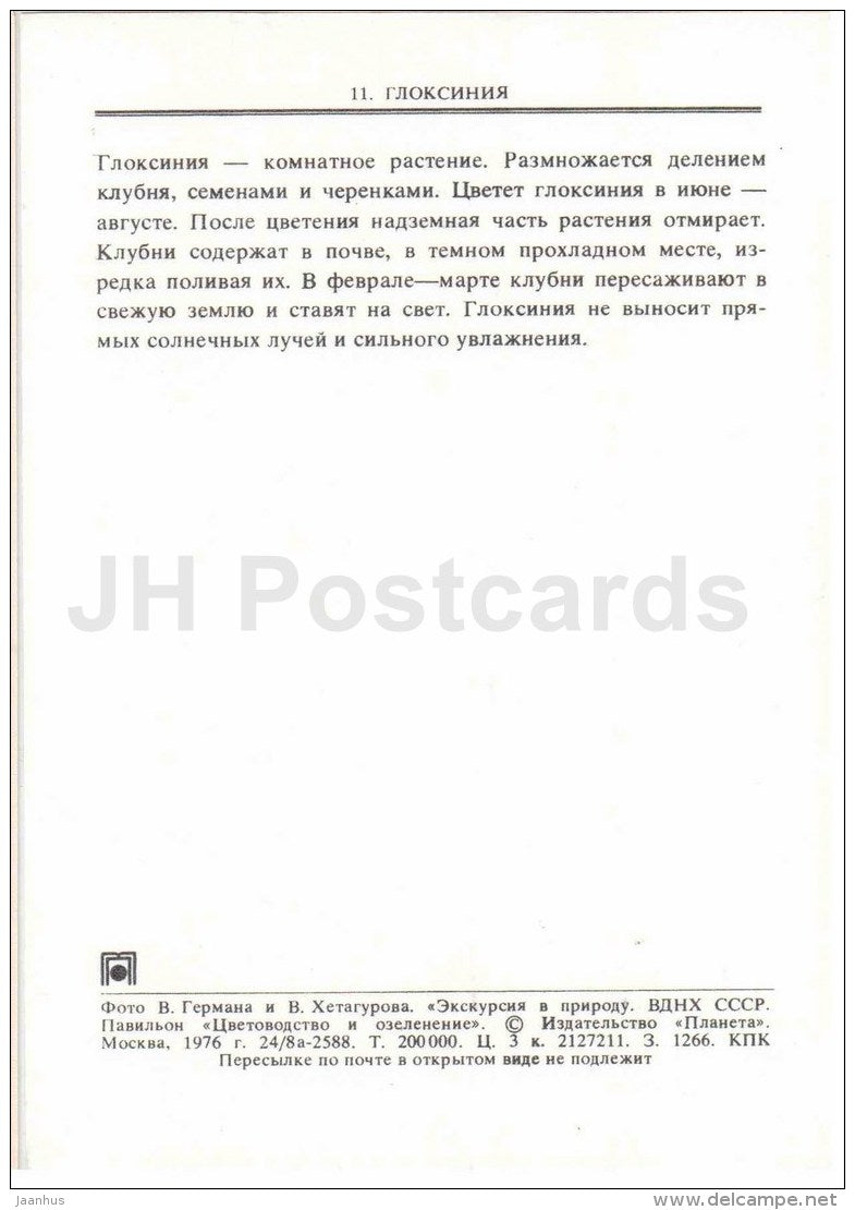 Gloxinia - flowers - floriculture and gardening pavilion - 1976 - Russia USSR - unused - JH Postcards