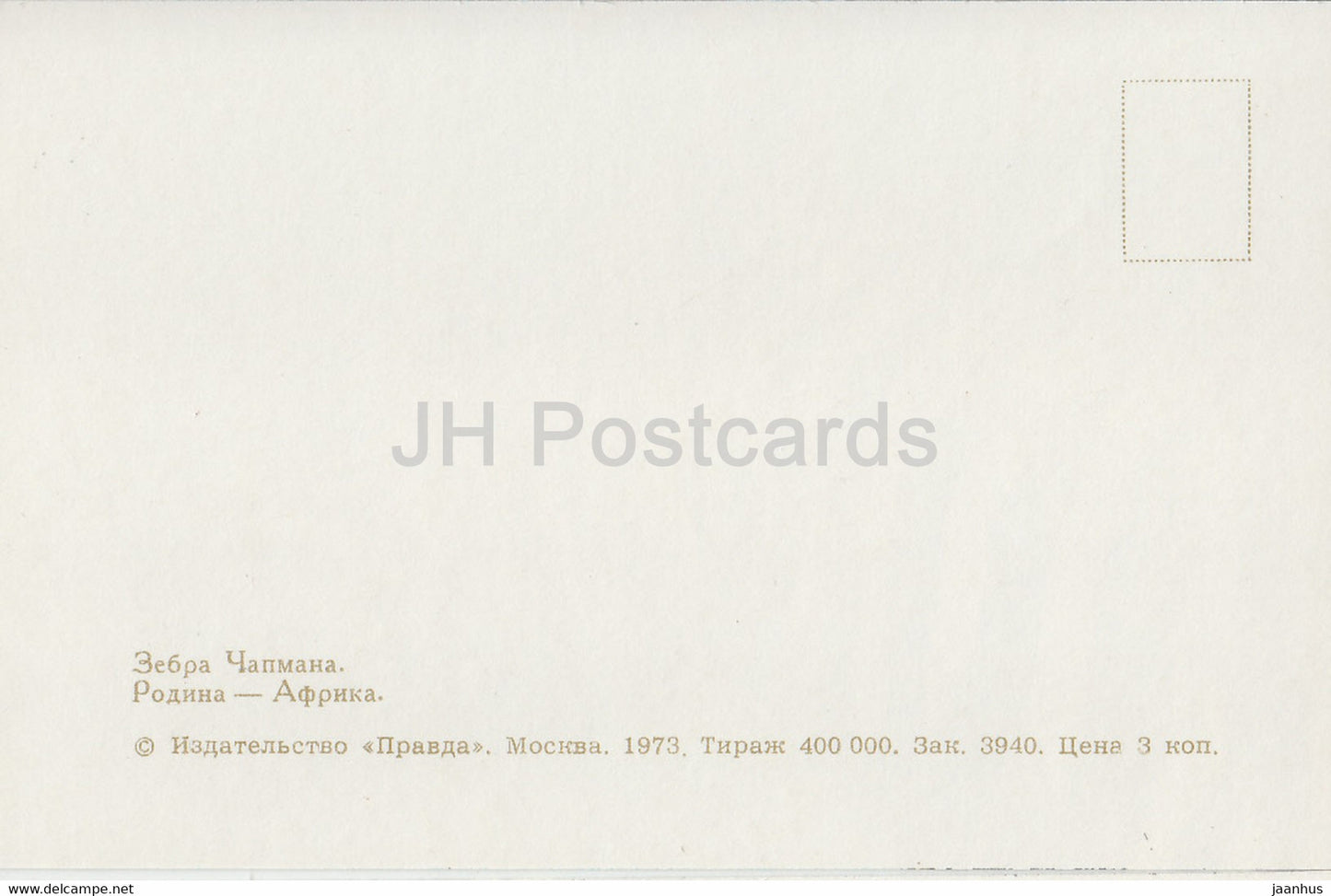 Chapman-Zebra - Equus quagga chapmani - Moskauer Zoo - Tiere - 1973 - Russland UdSSR - unbenutzt