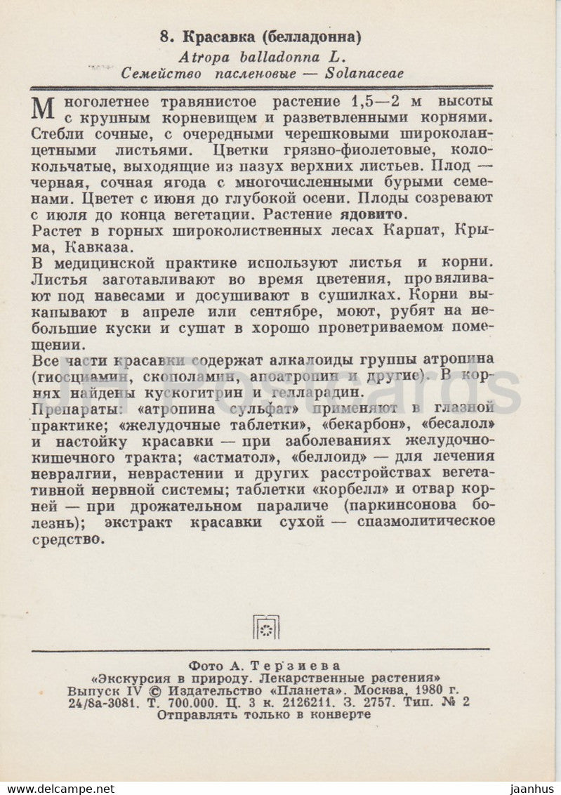 Belladonna - Atropa belladonna - Medicinal Plants - 1980 - Russia USSR - unused