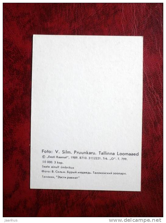 brown Bear - Tallinn Zoo - mini card - 1989 - Estonia - USSR - unused - JH Postcards