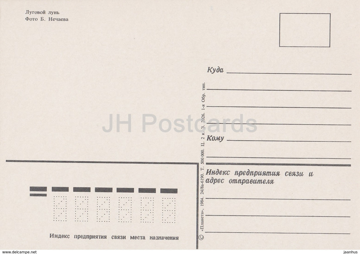 Montagus Weihe – Circus pygargus – Vögel – 1984 – Russland UdSSR – unbenutzt