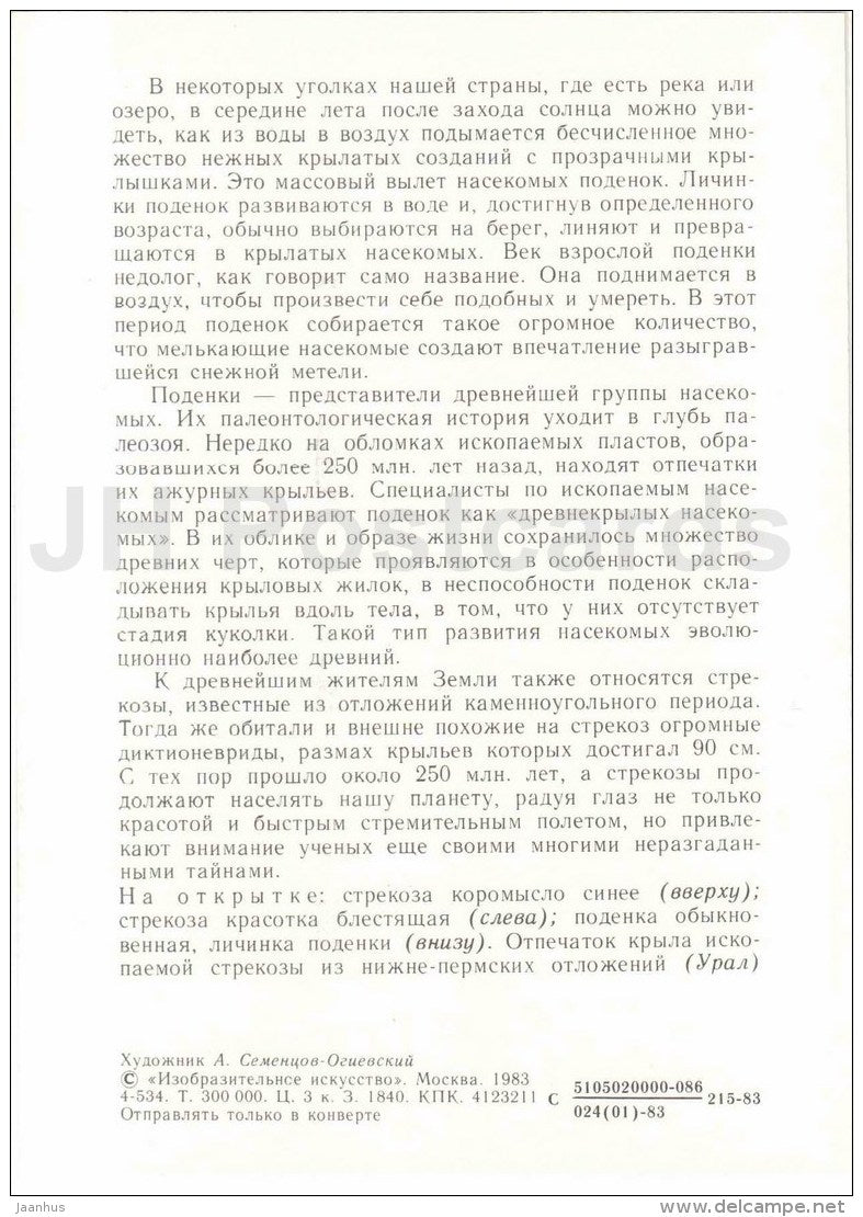 Dragonfly - Ephemera vulgata - larva - Protected Animals and Plants - 1983 - Russia USSR - unused - JH Postcards