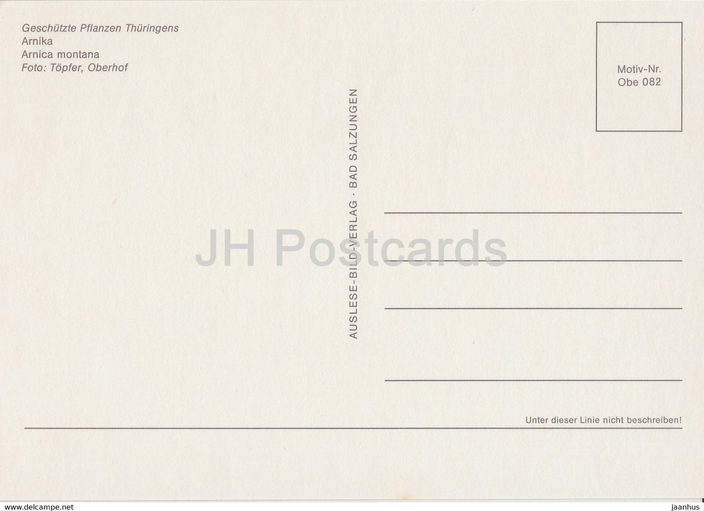 Mountain arnica - Arnica montana - Geschutzte Pflanzen - Protected plants - DDR Germany - unused