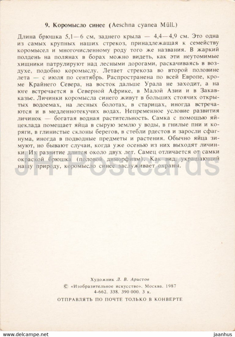 Aeshna cyanea - Colporteur du Sud - libellule - Insectes - illustration - 1987 - Russie URSS - inutilisé