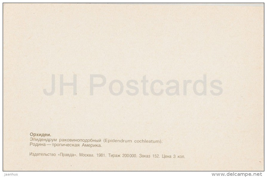 Clamshell orchid - Prosthechea cochleata - flowers - Orchid - Russia USSR - 1981 - unused - JH Postcards