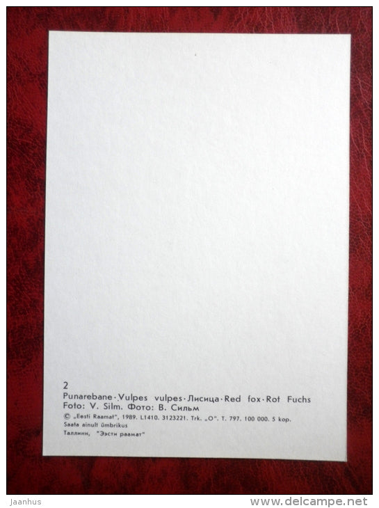 Red fox - Vulpes vulpes - animals - Tallinn Zoo - 1989 - Estonia - USSR - unused - JH Postcards