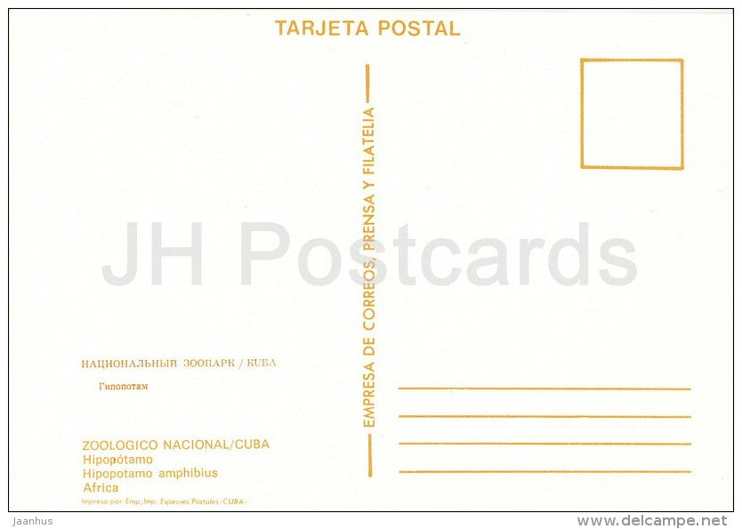 Hippopotamus - National Zoo - Cuba - unused - JH Postcards