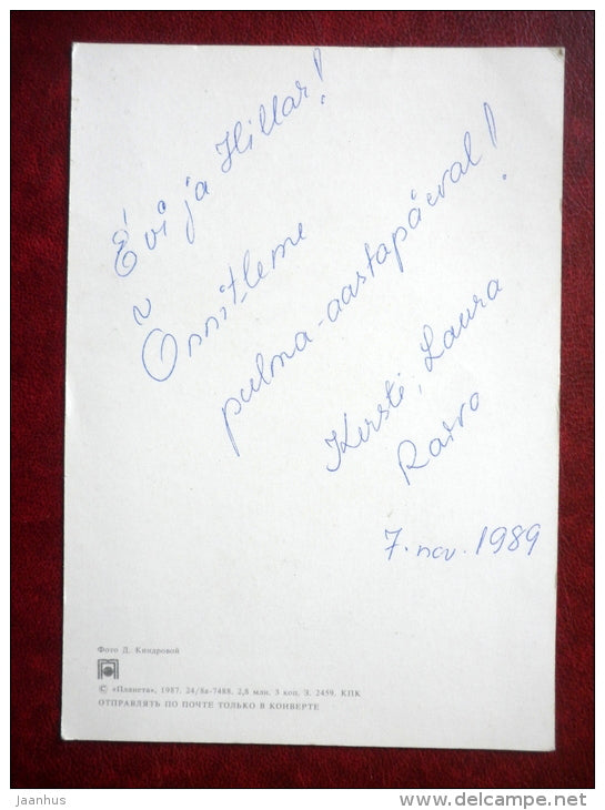 Greeting Card - red Gladiolus - flowers - 1987 - Russia USSR - used - JH Postcards