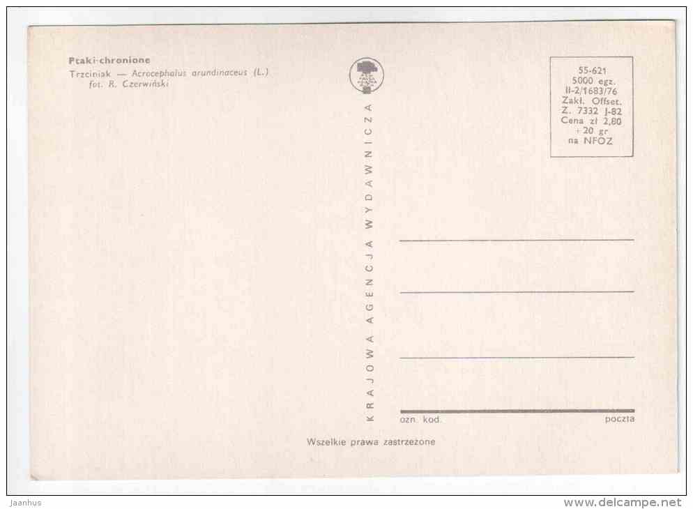 Great Reed Warbler - Acrocephalus arundinaceus - birds - 1977 - Poland - unused - JH Postcards