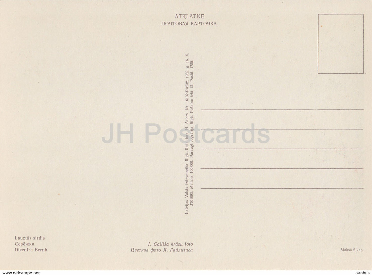 Asiatisches blutendes Herz - Dicentra Bernh - Blumen - Pflanzen - 1962 - Lettland UdSSR - unbenutzt