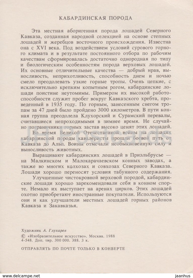 Kabardian horse - illustration by A. Glukharev - horses - animals - 1988 - Russia USSR - unused - JH Postcards